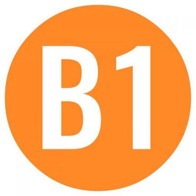 11/24-12/19 В1 Ярианы шалгалтын бэлтгэл 14:00-16:00 