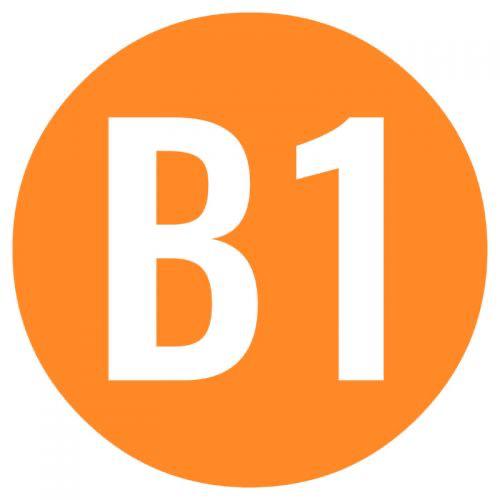 11/24-12/19 В1 Ярианы шалгалтын бэлтгэл 14:00-16:00 