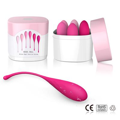 Egg – Deluxe Kegel Exercise System
