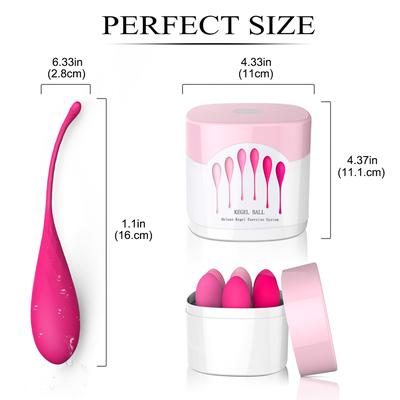 Egg – Deluxe Kegel Exercise System