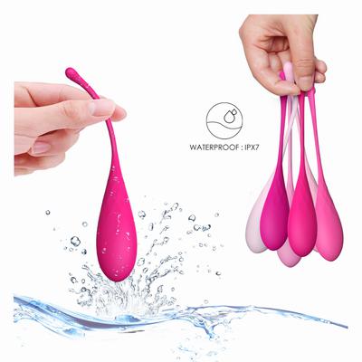 Egg – Deluxe Kegel Exercise System