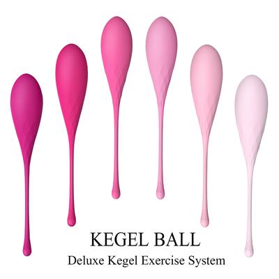 Egg – Deluxe Kegel Exercise System