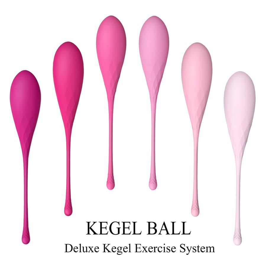 Egg – Deluxe Kegel Exercise System