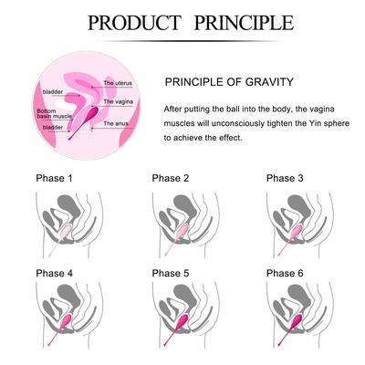 Egg – Deluxe Kegel Exercise System