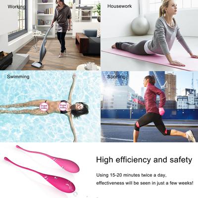 Egg – Deluxe Kegel Exercise System