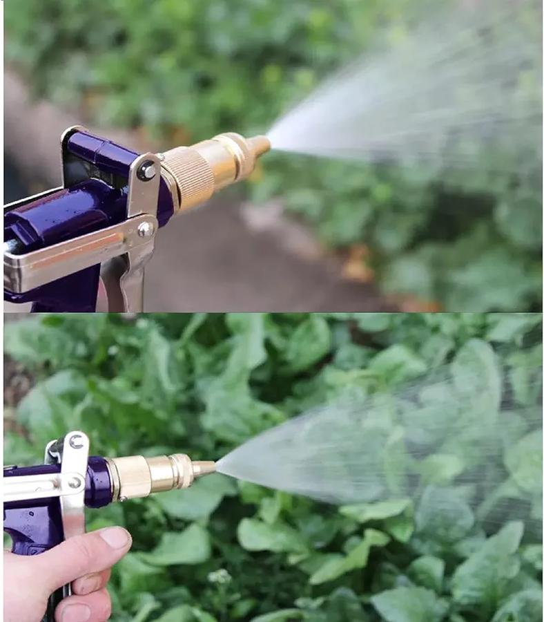 Усан бууны хошуу