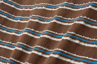 WOMAN Striped Collar Half Knit