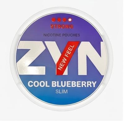 Zyn - Cool Blueberry