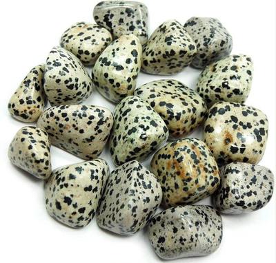 DALMATIAN JASPER - ТОЛБОТ МАНА 