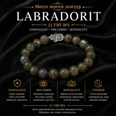 ЛАБРАДОР ЭРХ 21- тэй 