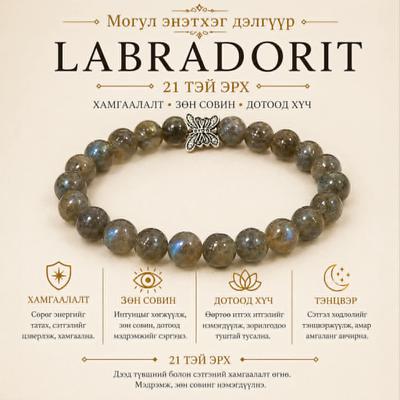 ЛАБРАДОР ЭРХ 21- тэй 