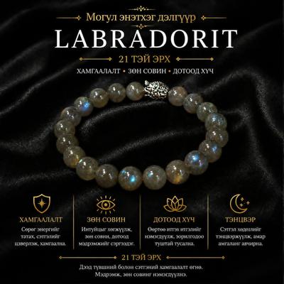 ЛАБРАДОР ЭРХ 21- тэй 