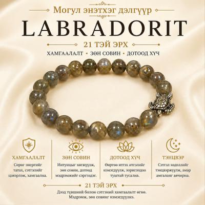 ЛАБРАДОР ЭРХ 21- тэй 