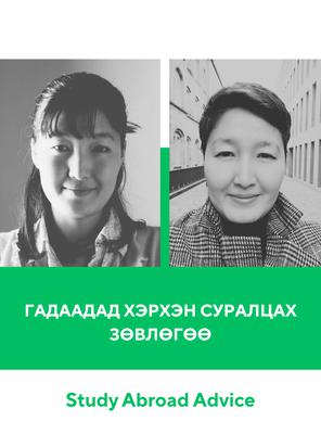 ГАДААДАД ХЭРХЭН СУРАЛЦАХ ГАНЦААРЧИЛСАН ЗӨВЛӨГӨӨ
