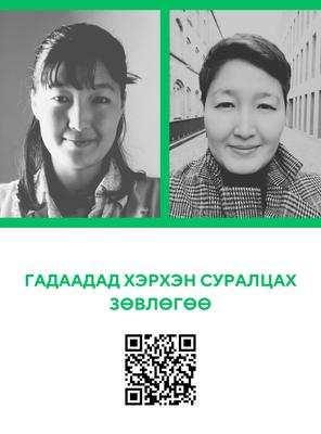 ГАДААДАД ХЭРХЭН СУРАЛЦАХ ГАНЦААРЧИЛСАН ЗӨВЛӨГӨӨ