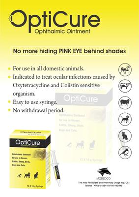 Нүдний тос/ Opticure 