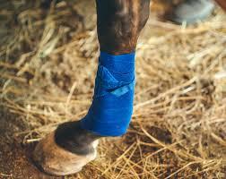 Наалддаг уян боолт/ Pro Wrap