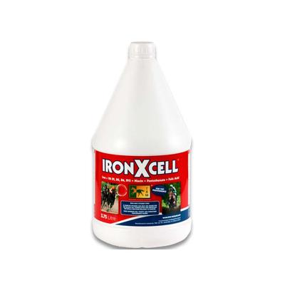 Айрон эксэл 3,75 л /IronXcell3,75 L
