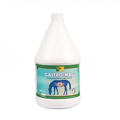 Гастро-Маг 3,75л /Gastro-Mag 3,75 L 