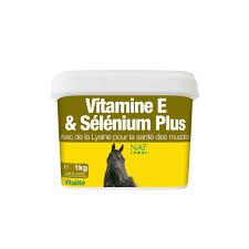 Сэлений нэмэлттэй витамин Е нунтаг 1кг/ Vitamin E & Selenium plus powder