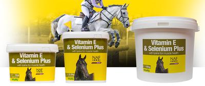 Сэлений нэмэлттэй витамин Е нунтаг 1кг/ Vitamin E & Selenium plus powder