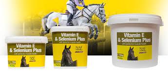 Сэлений нэмэлттэй витамин Е нунтаг/ Vitamin E & Selenium plus powder