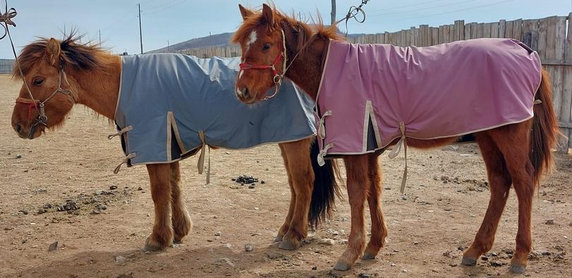 Хөлсний нэмнээ/ оранж өнгө 