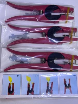 Ээмэгний бахь 