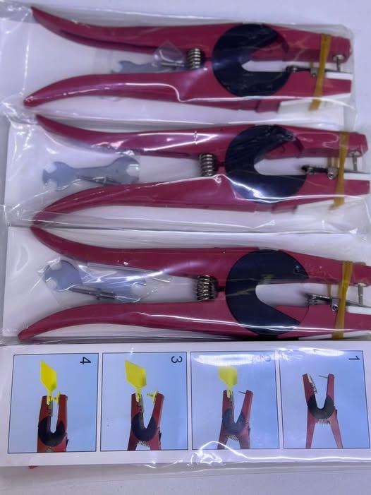 Ээмэгний бахь 