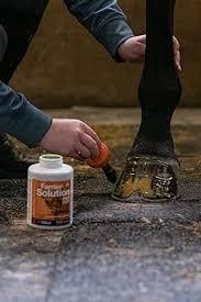 Farrier hoof solution 500ml/ Туурай засалтын тэнцвэртэй тэжээл 500мл 