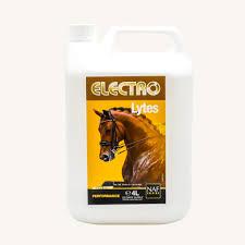 Electro lytes liquid 4L/ Электро лайт шингэн 4л 