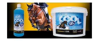 Ice cool gel/ Айс күүл жэл 1л 