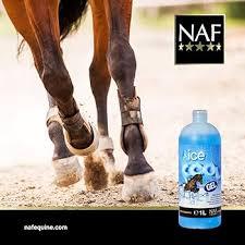 Ice cool gel/ Айс күүл жэл 1л 