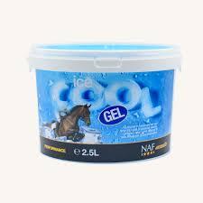 Ice cool gel 2.5L/ Сэрүүцүүлэгч жэл 2.5л 