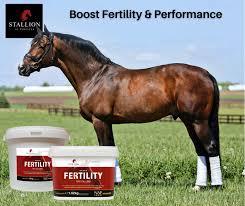 Fertility for stallions pellets 1.92kg/ Адууны үржлийн чанар сайжруулагч 1,92кг 