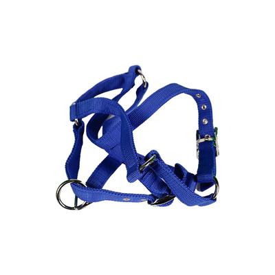 Ногт цэнхэр