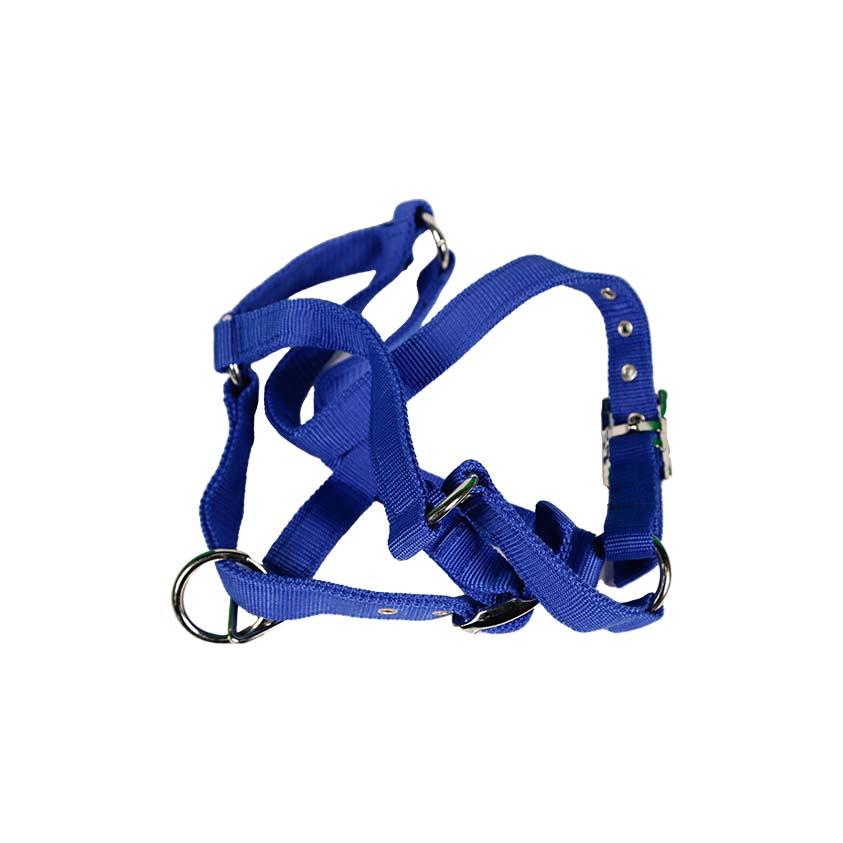 Ногт цэнхэр