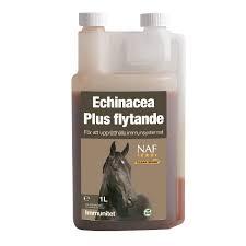 Echinacea plus liquid 1L/ Дархлааны нэмэлт 1л 