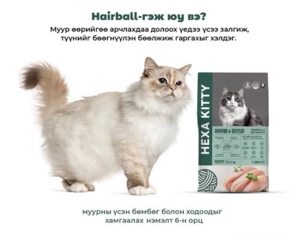 Муурны хоол /Муурны үсэн бөмбөлөг болон ходоодны үйл ажиллагаа 300гр/ 