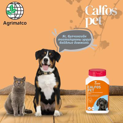 CALPOS PET 60 ширхэгтэй