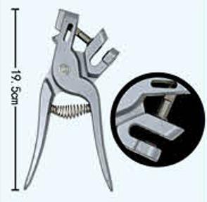 Им тавигч бахь/ Цоологч бахь