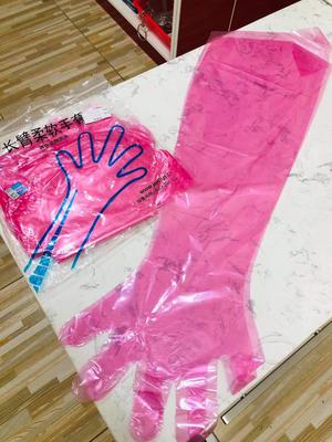 Эх барихын бээлий /50ширхэг/