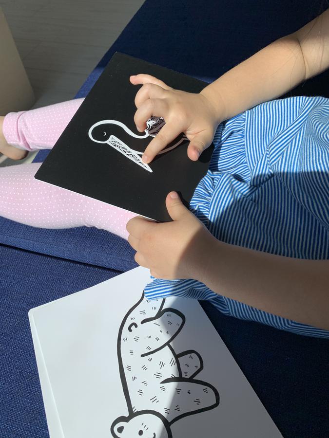 Art Cards нэн ховордож буй амьтад