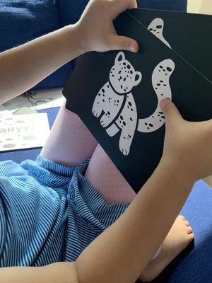 Art Cards нэн ховордож буй амьтад