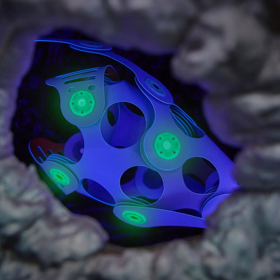 Ocean Creatures Pack