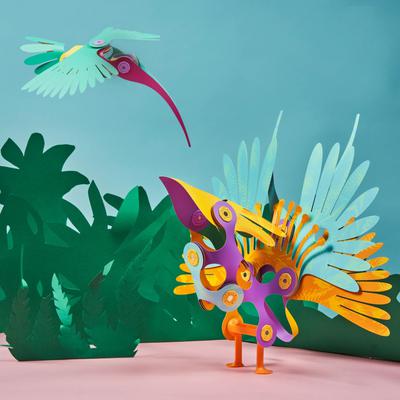 Tropical Birds