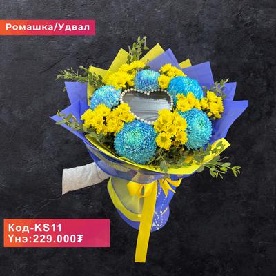 KS11
