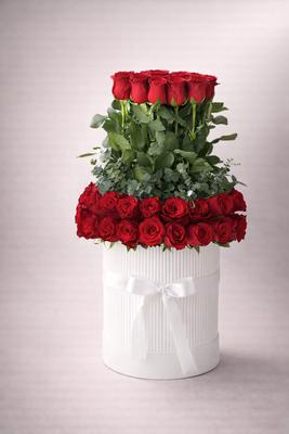 Цор ганц чамдаа