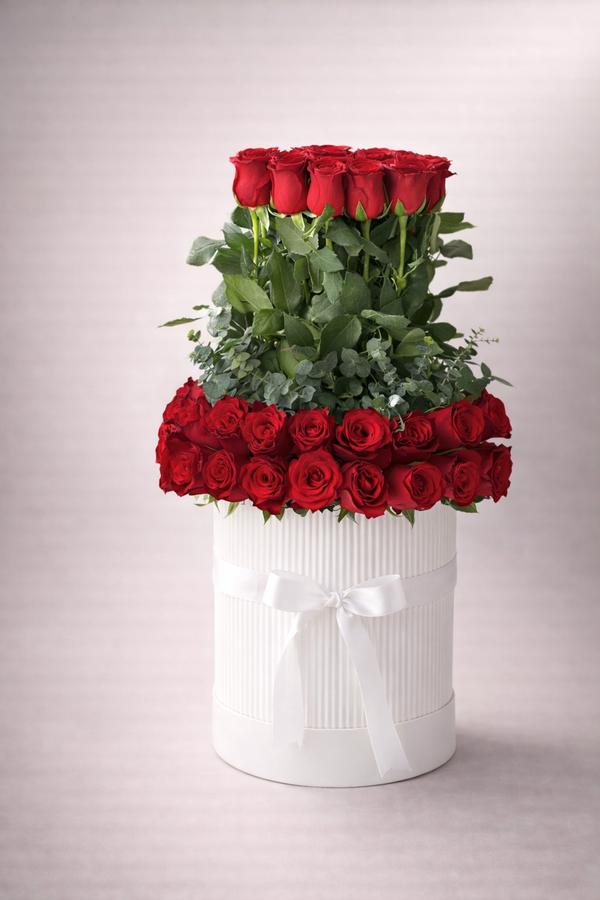 Цор ганц чамдаа