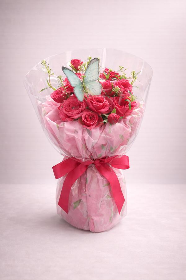 Эрвээхэйн үнсэлт